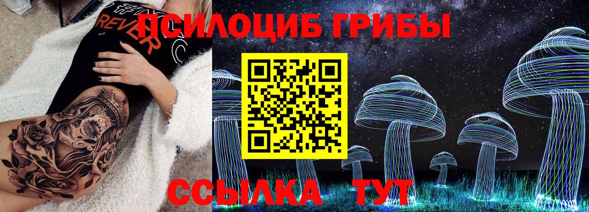 Галлюциногенные грибы GOLDEN TEACHER Советск
